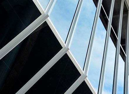 Polarizados Polarizados